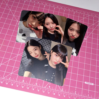 LESSERAFIM Photocards